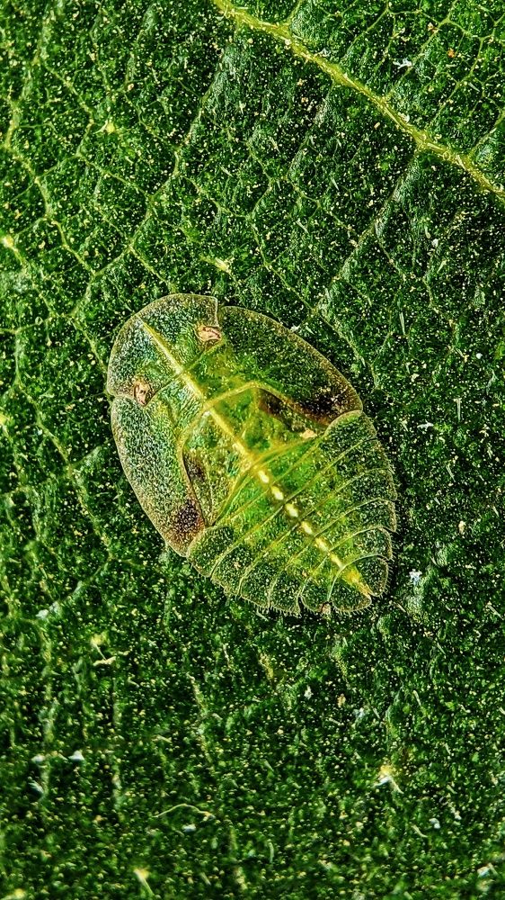 Photograph by Sai Krishna