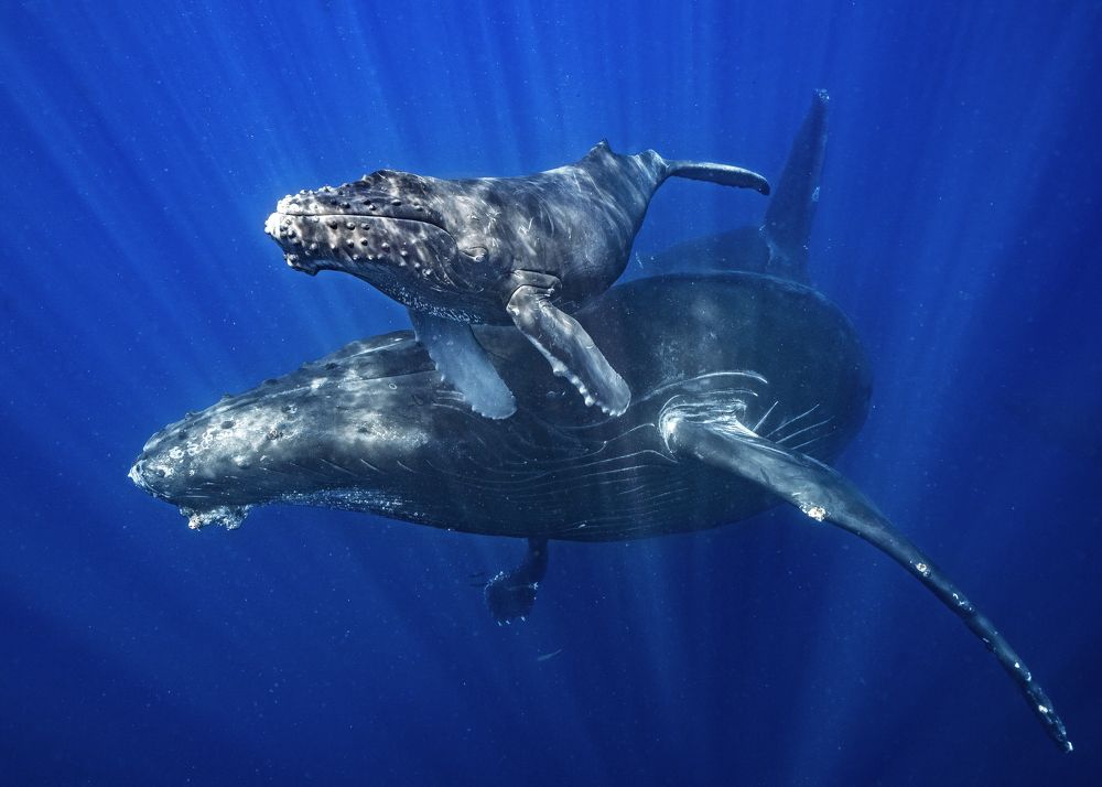 Photograph by Merche Llobera