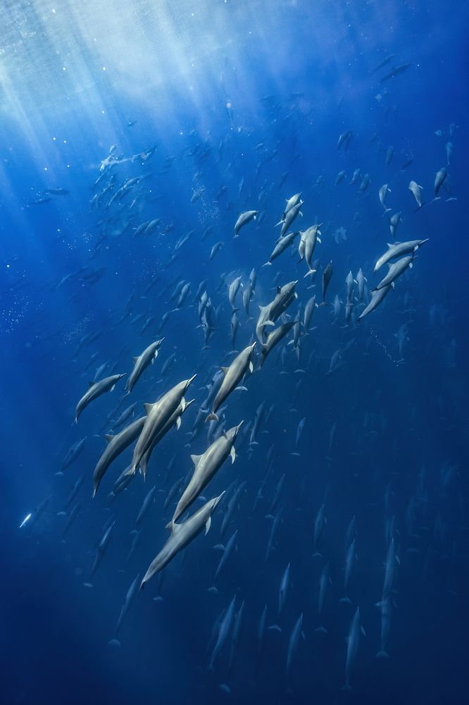 Photograph by Merche Llobera