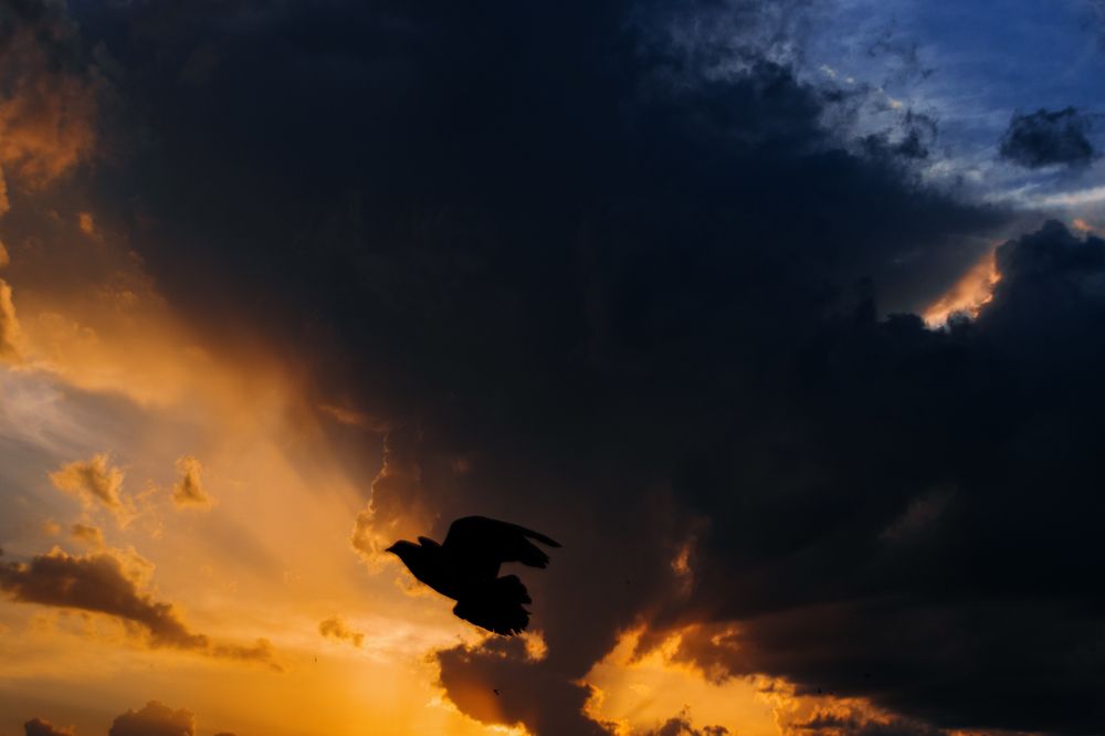 Photograph by Сергей Удовиченко