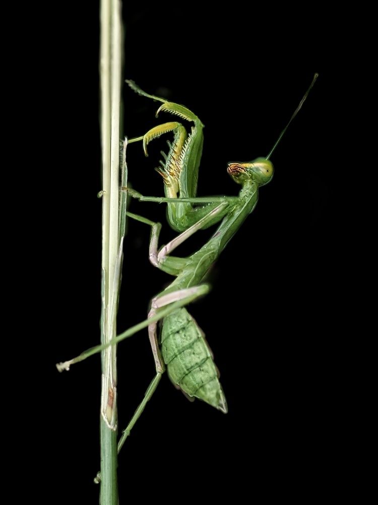 Photograph by Sai Krishna