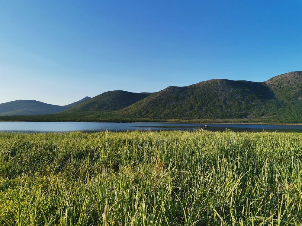 Фотография автора Закурина Маргарита