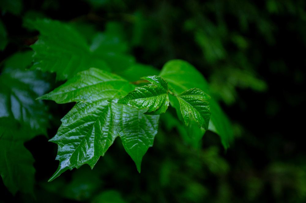 Photograph by Евгений Авдеев