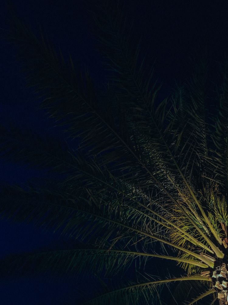 Photograph by Валерия Гуртовая