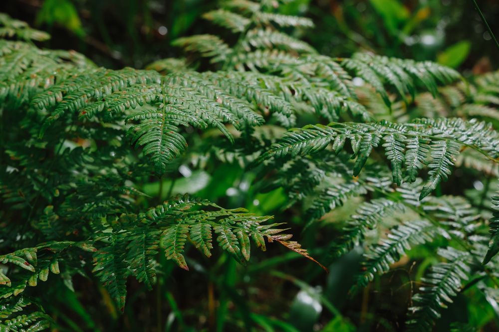 Photograph by Валерия Гуртовая