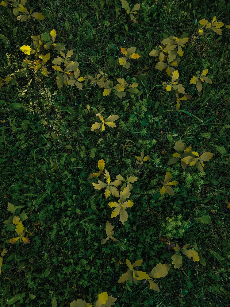 Photograph by Валерия Гуртовая