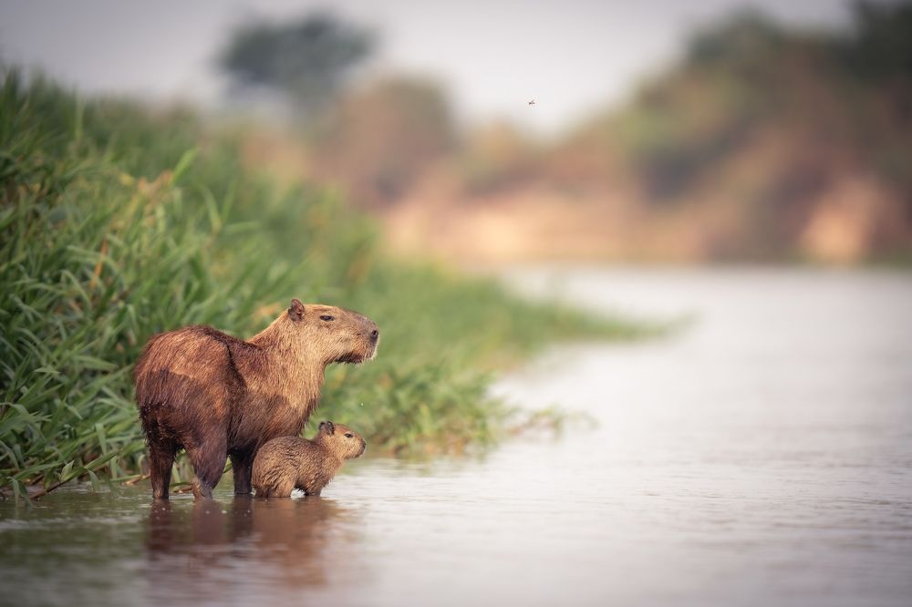 Photograph by Merche Llobera