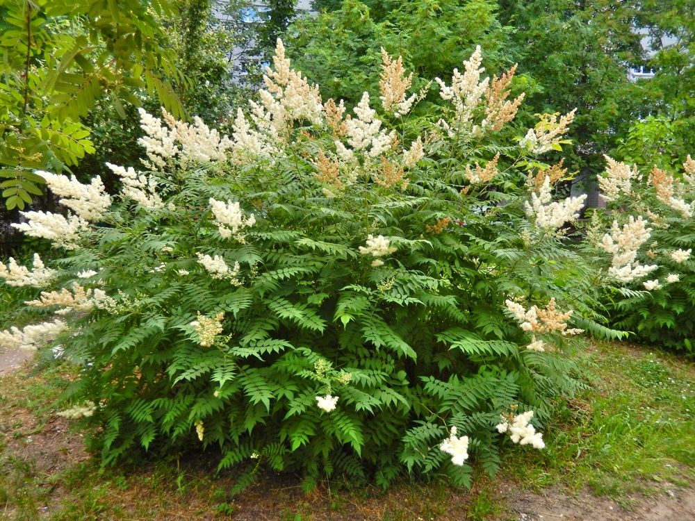 Фотография автора Клавдия Васильева