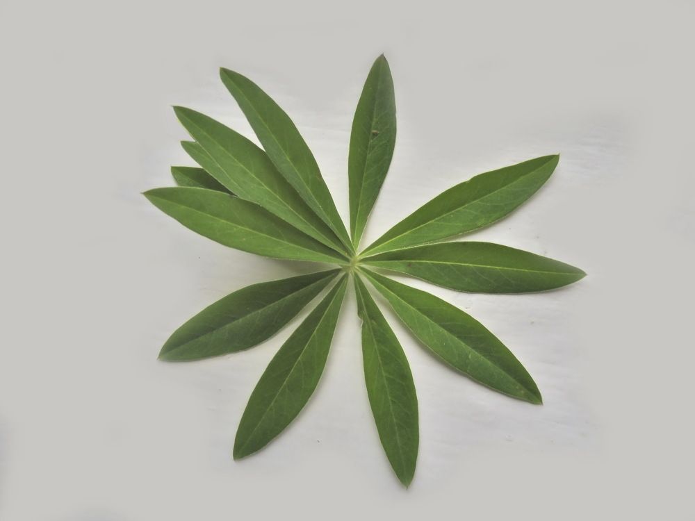 Фотография автора Клавдия Васильева