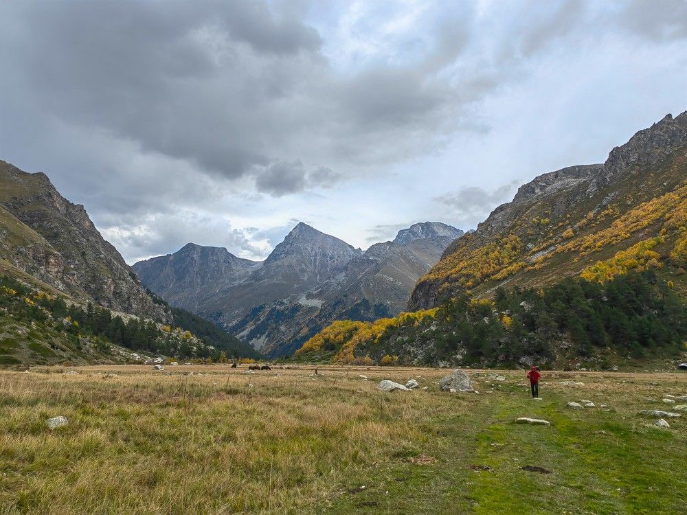 Photograph by Чкареули Светлана