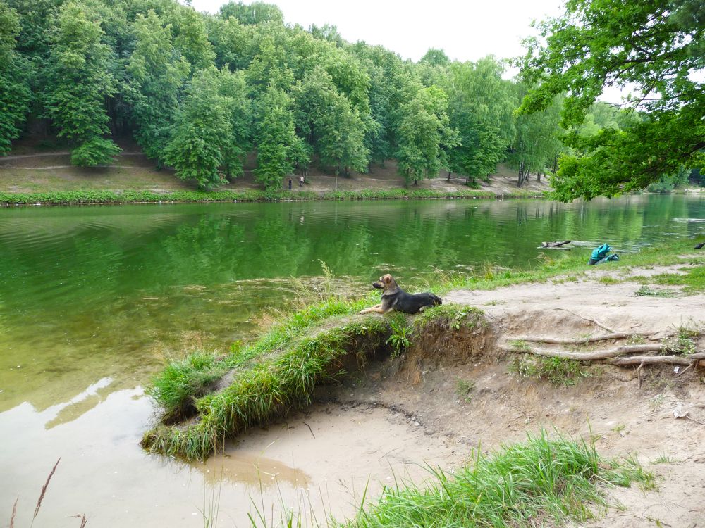 Фотография автора Клавдия Васильева