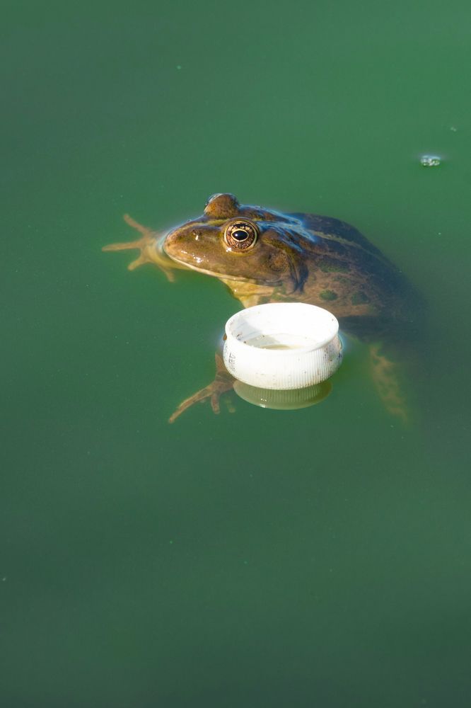 Фотография автора Вячеслав Афанасьев
