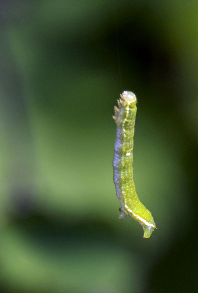 Photograph by Дария Ризниченко