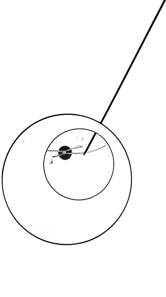 Photograph by Dholeeh Ann Hidalgo