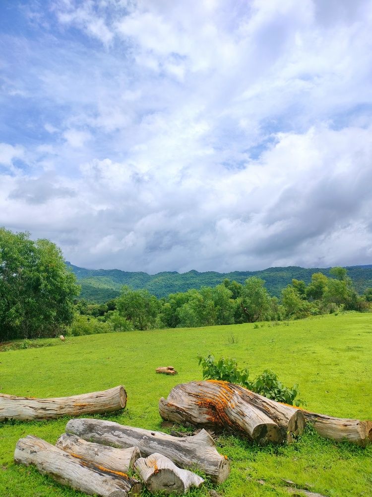 Фотография автора Tanaya Dhuri