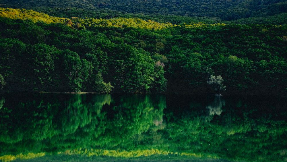 Photograph by Игорь Гордиенко