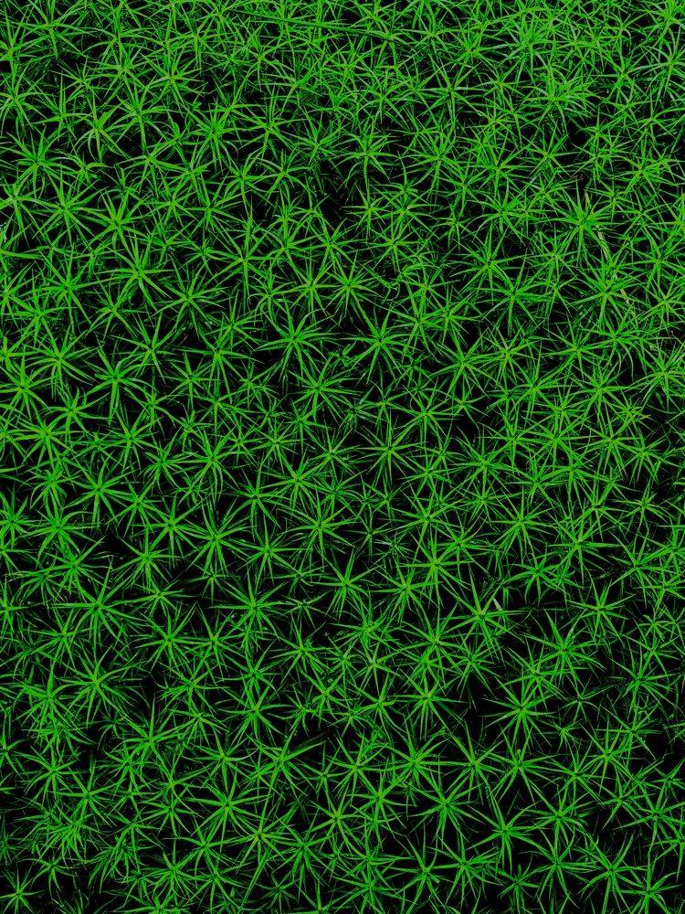 Фотография автора Анастасия Куликова