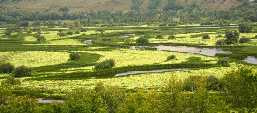 Фотография автора Татьяна Шебаршенко