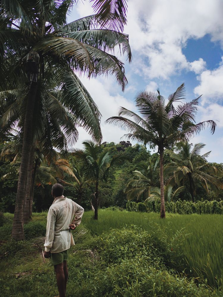 Фотография автора Tanaya Dhuri