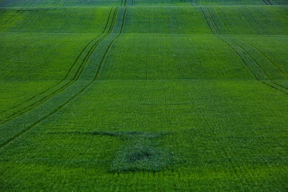 Фотография автора Вазген Бояджян