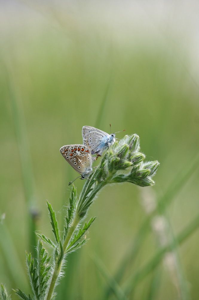 Фотография автора Татьяна Шебаршенко