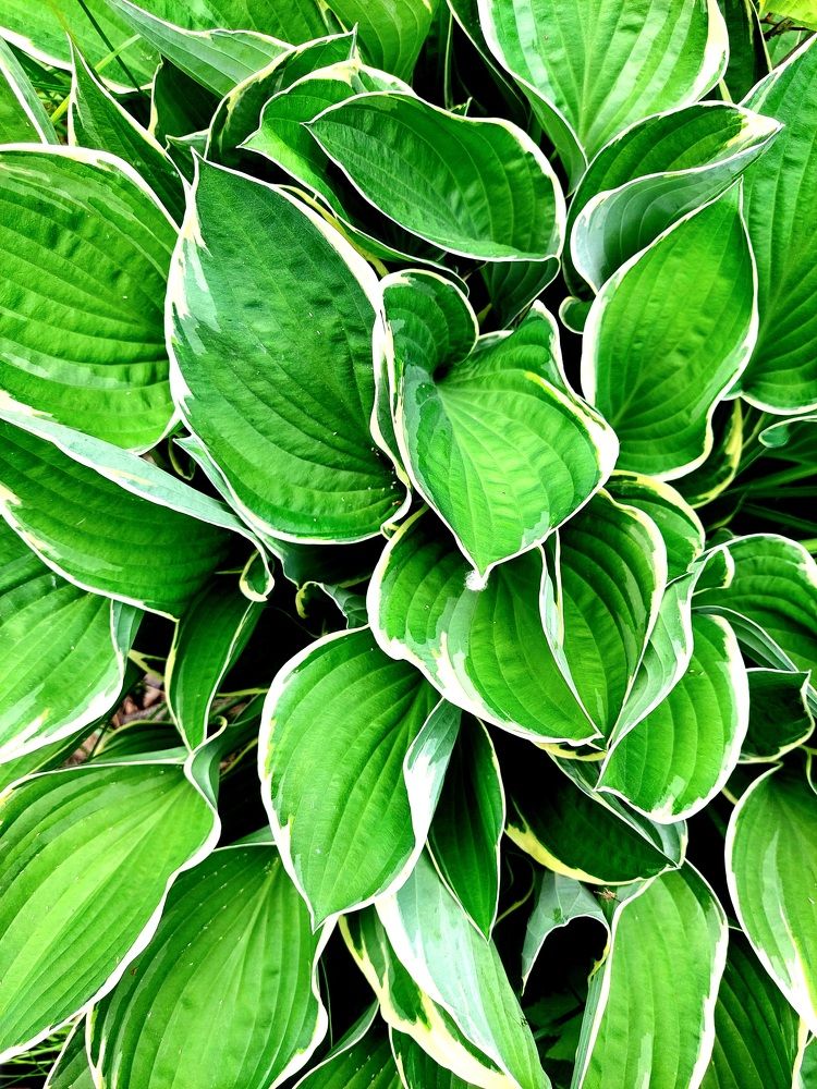 Фотография автора Анастасия Куликова