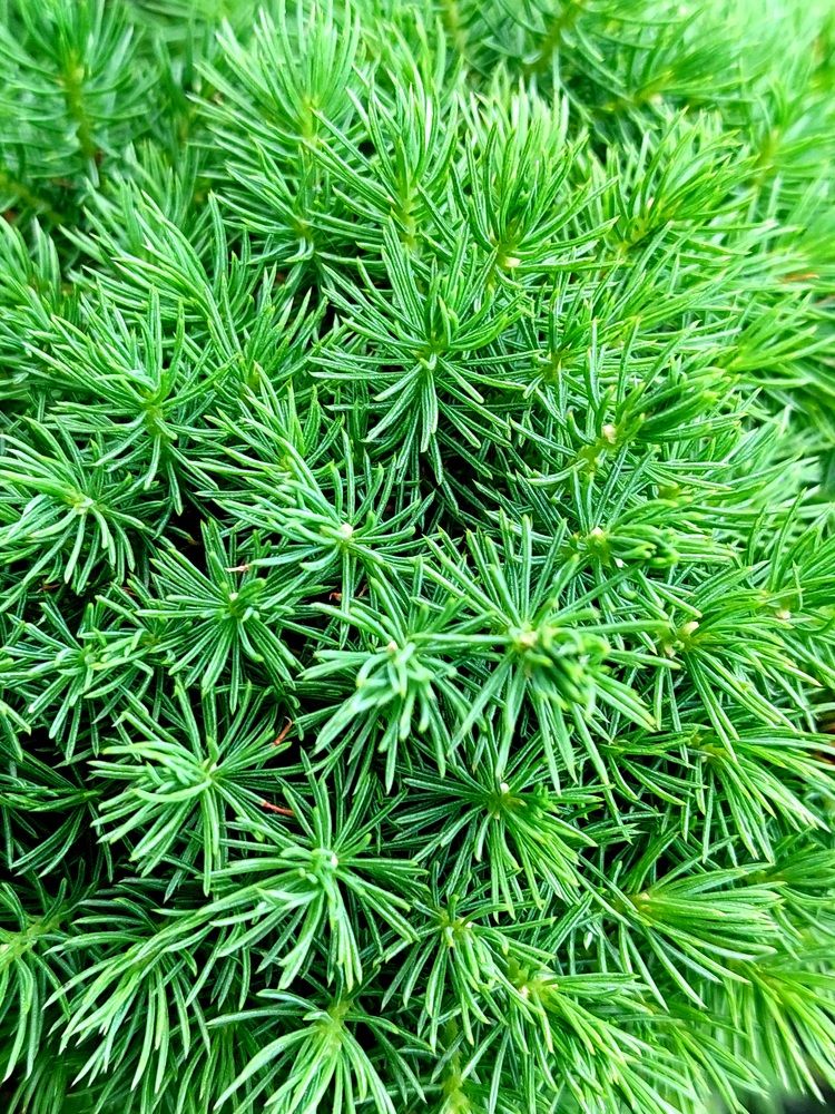 Фотография автора Анастасия Куликова