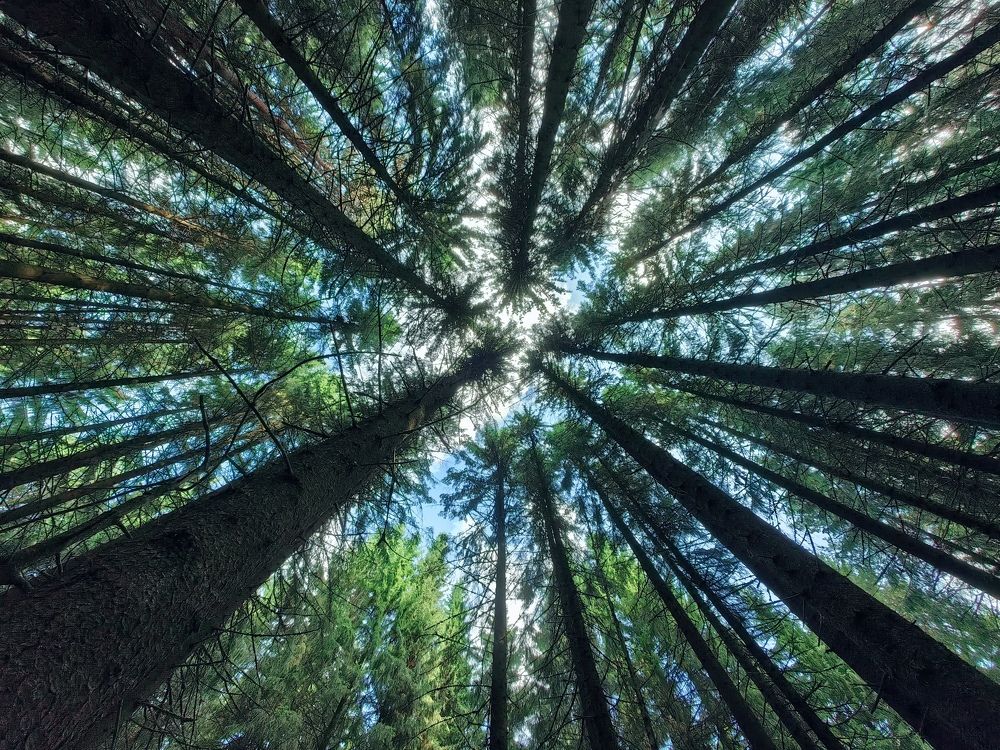 Photograph by Maiya Bulatova