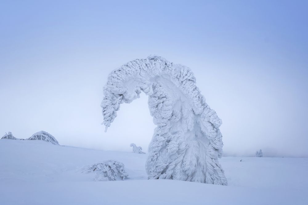 Photograph by Ирина Толокновская