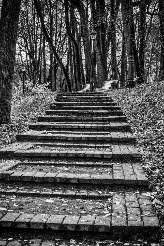 Photograph by Vladimir Bragilevsky