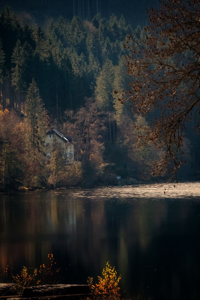 Фотография автора Henri Fitriadi