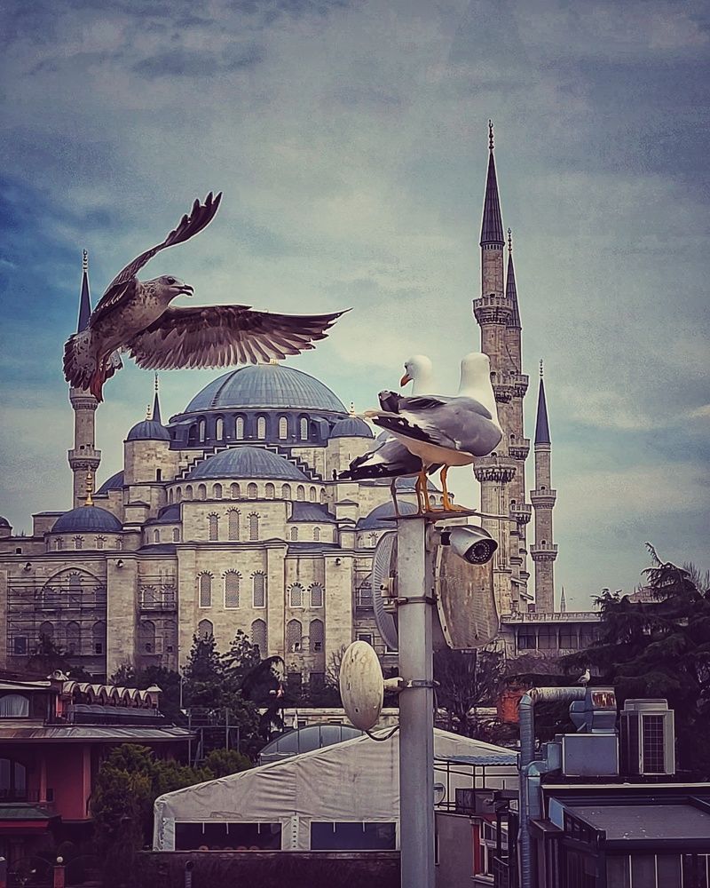 Photograph by Nelli Polle