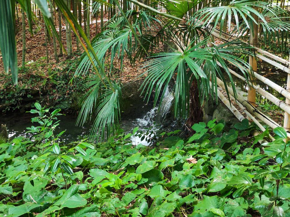 Photograph by Ирина Шибитова