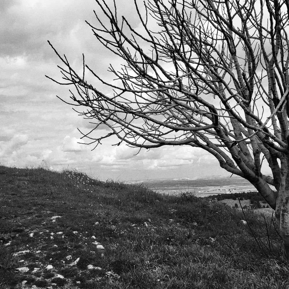 Photograph by Nelli Polle