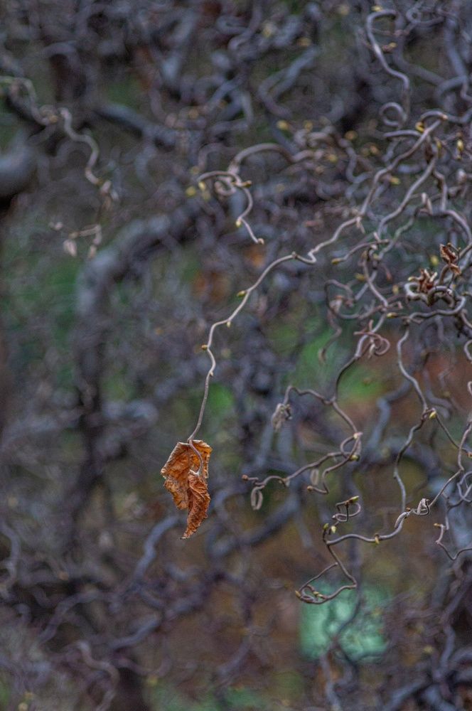 Photograph by Анастасия