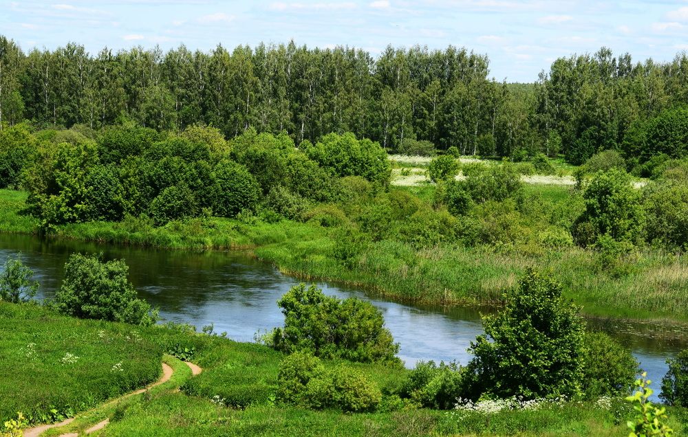 Photograph by Galina Leskova