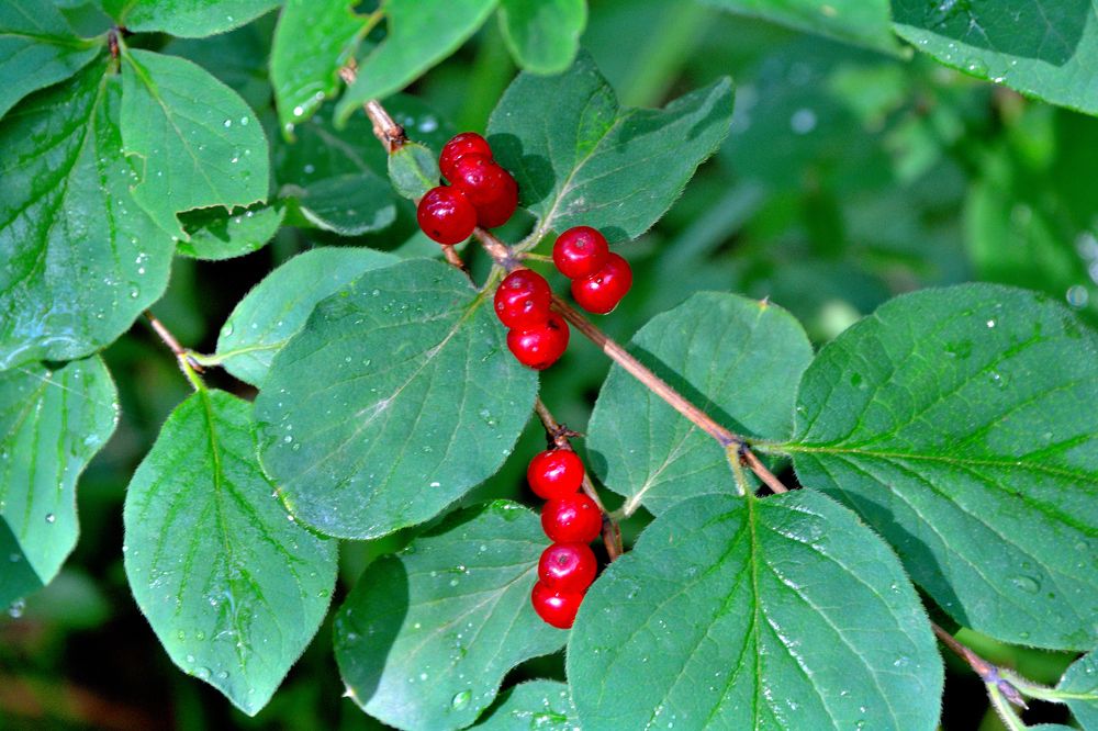 Photograph by Александр Зуев