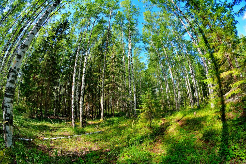 Photograph by Александр Зуев