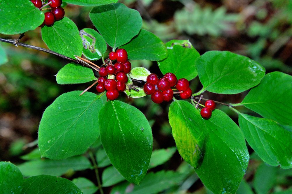 Photograph by Александр Зуев