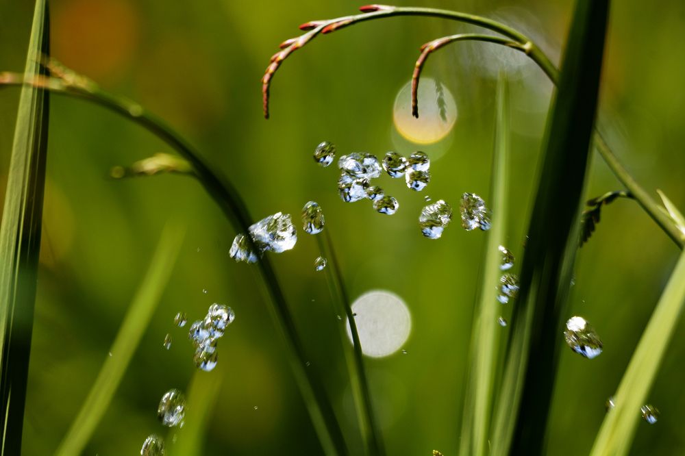 Фотография автора YANN JACOB