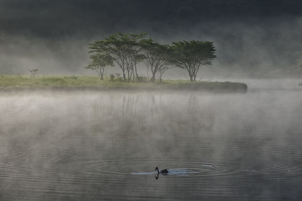 Photograph by K_ Tsunoda