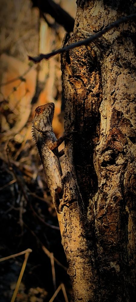 Photograph by Ashish