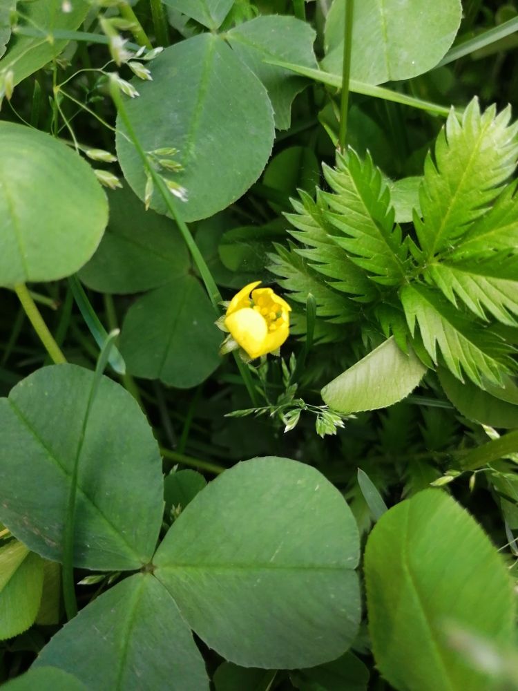 Photograph by Наталия