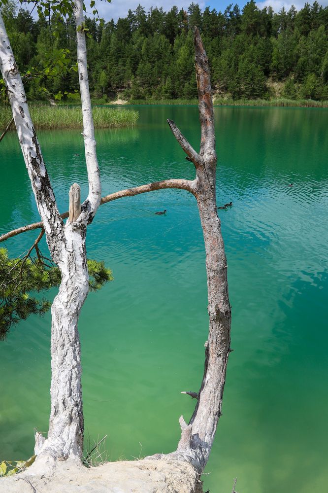 Photograph by Оксана Хабарова