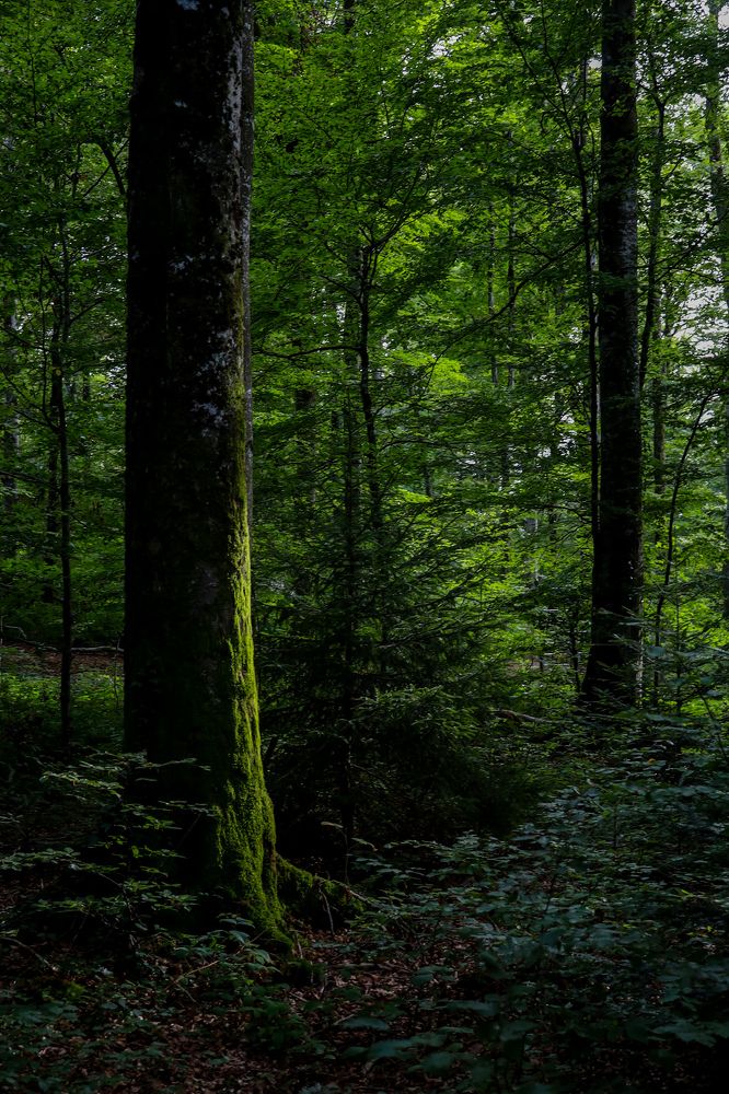 Photograph by Оксана Хабарова