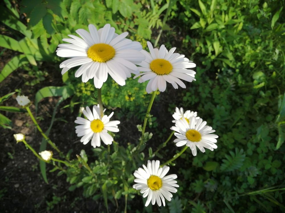 Photograph by Наталия