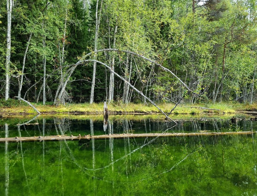 Photograph by Julia Kosenchuk