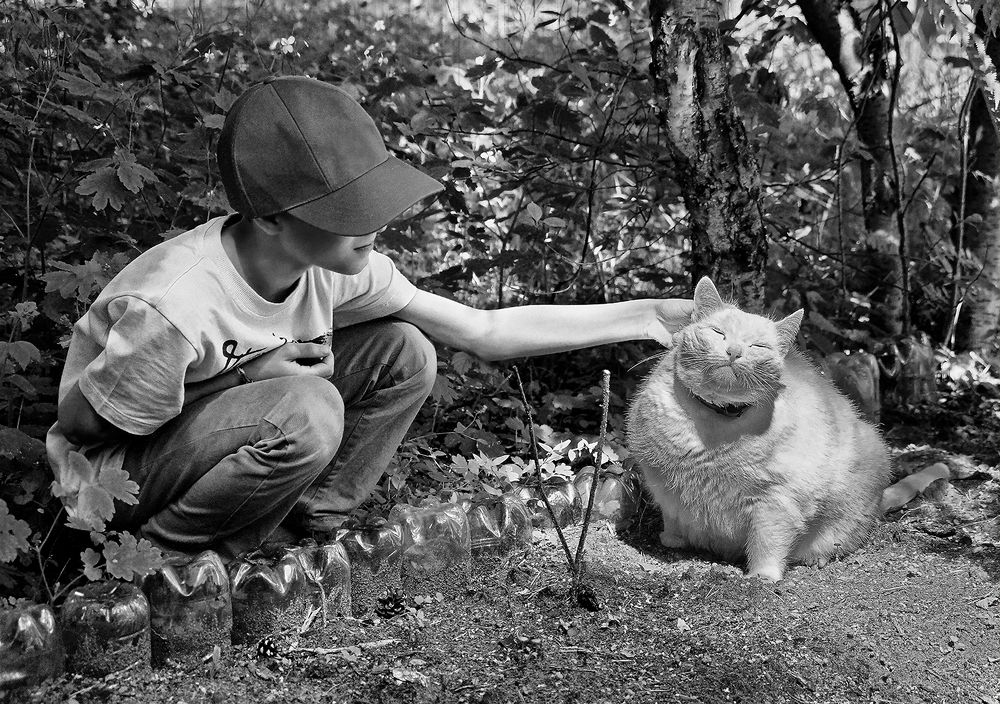 Photograph by Анатолий Максимов