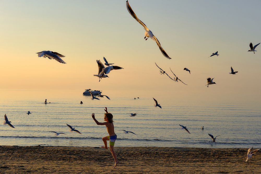 Фотография автора VIZO VIZO