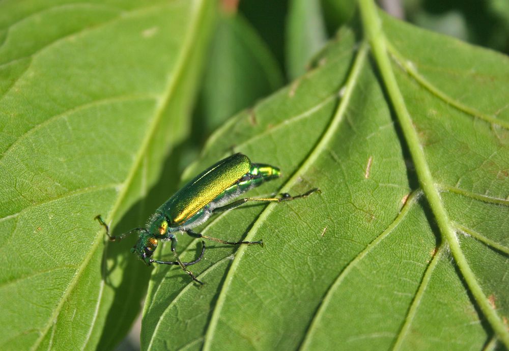 Photograph by Панюшкин Андрей